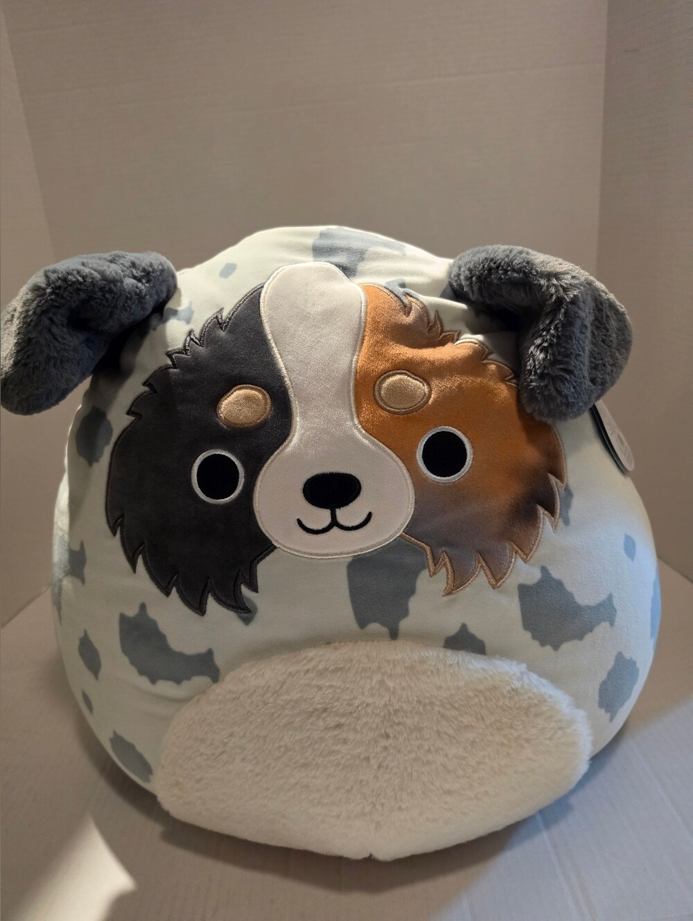 Squishmallows 16" Raylor the Australian Shepherd Dog Plush NWT Fuzzy Ears